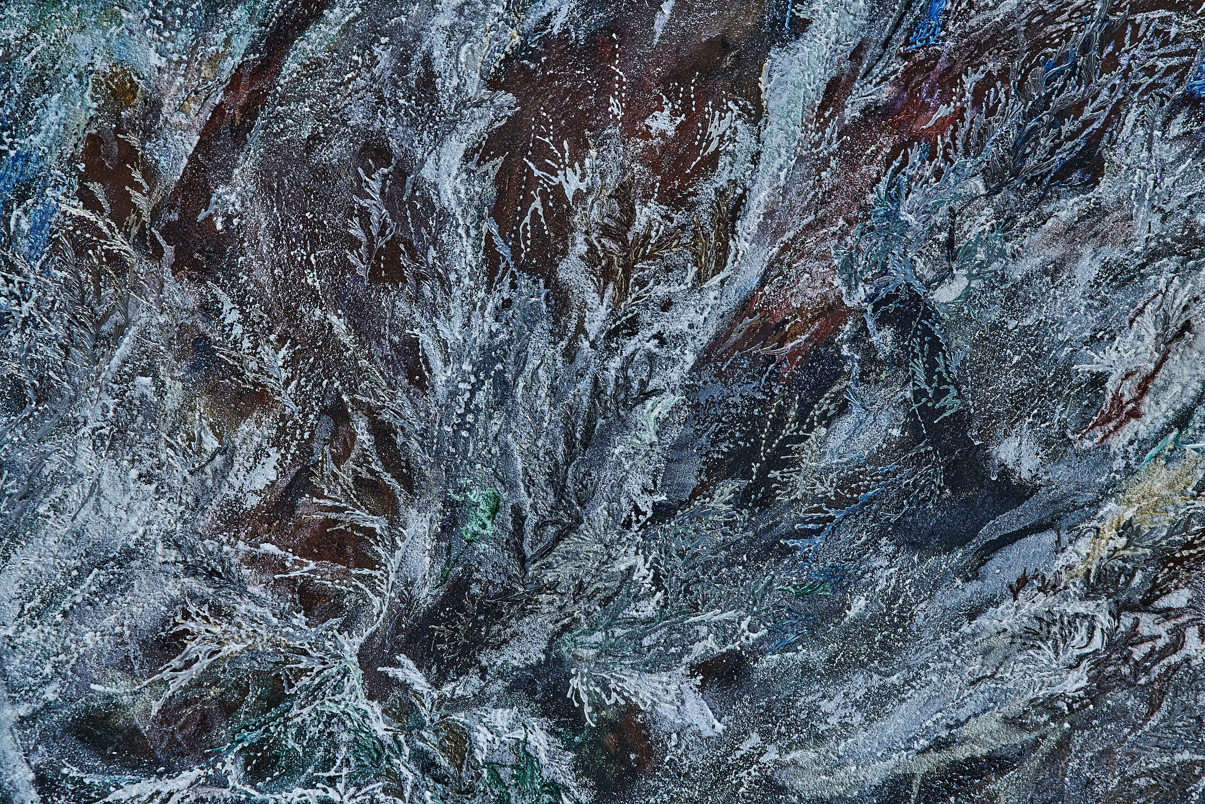 takayama natsuki – The LOOP Gallery