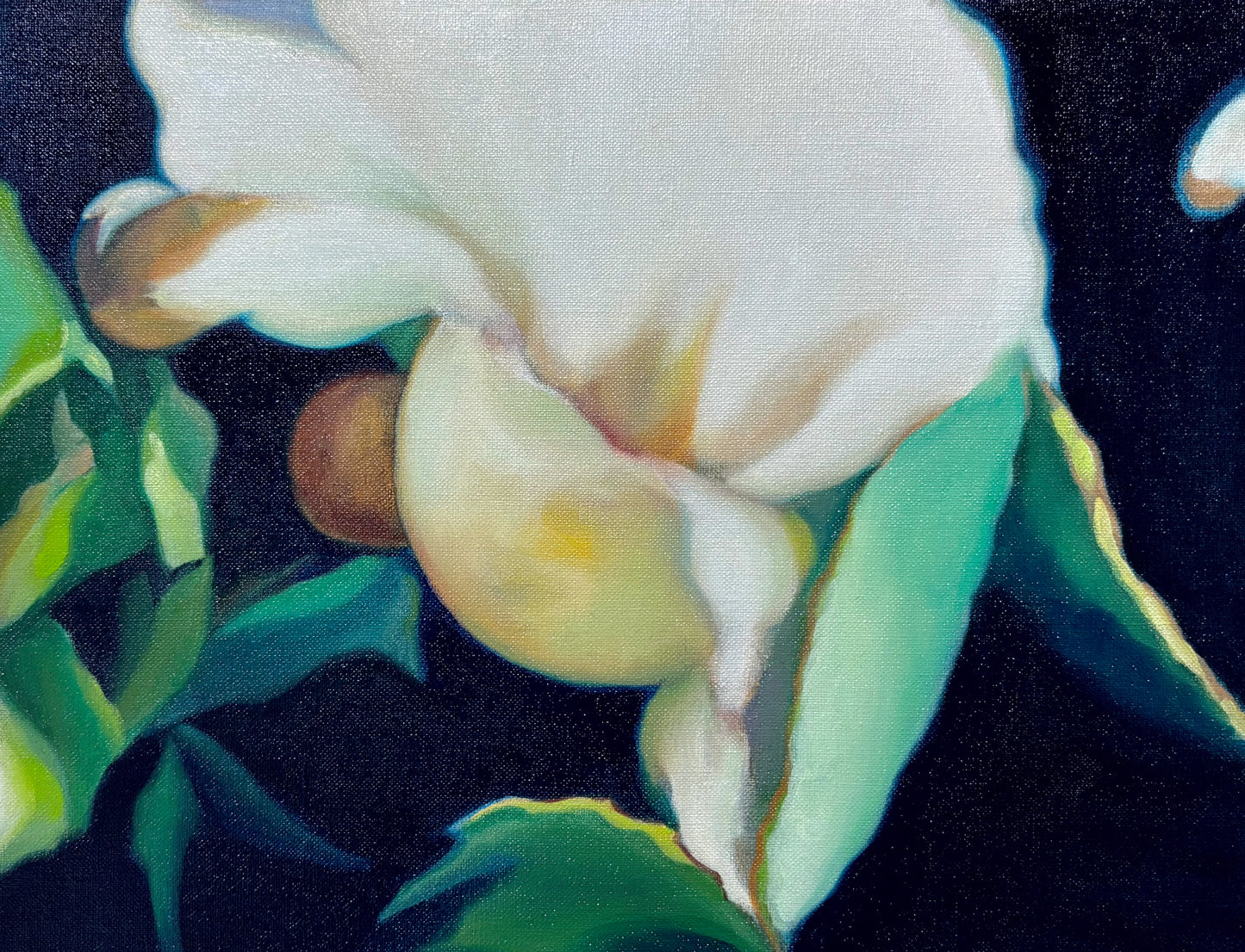 Camellia sinensis #17, 2026