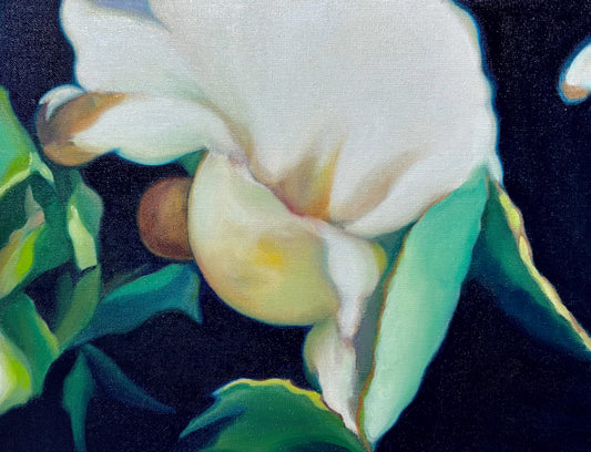 Camellia sinensis #17, 2026