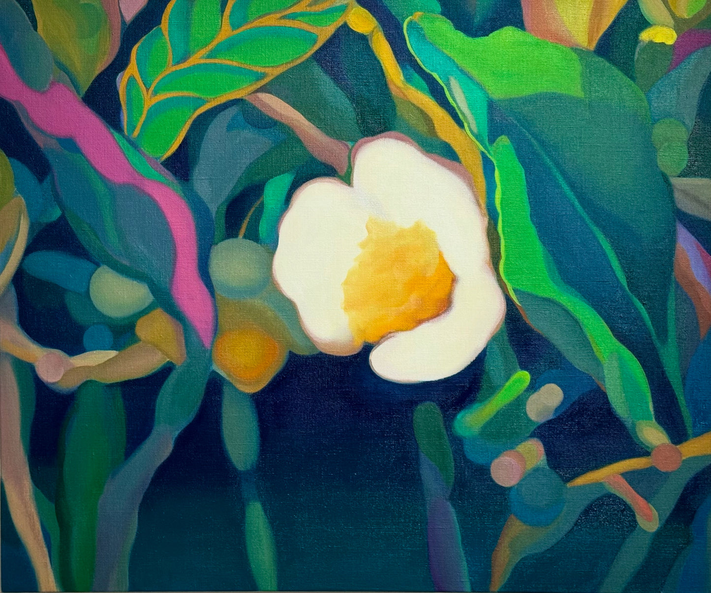 Camellia sinensis #2, 2024