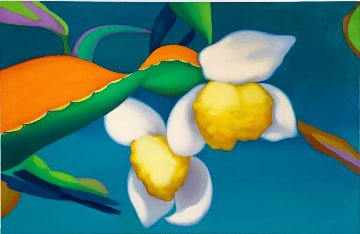 Camellia sinensis #9, 2024