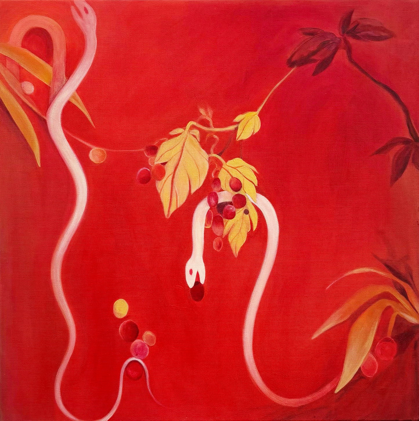 Sabor Rojo Ⅱ (Taste of Red), 2026