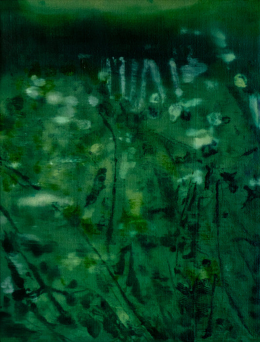Green Shadows, 2025