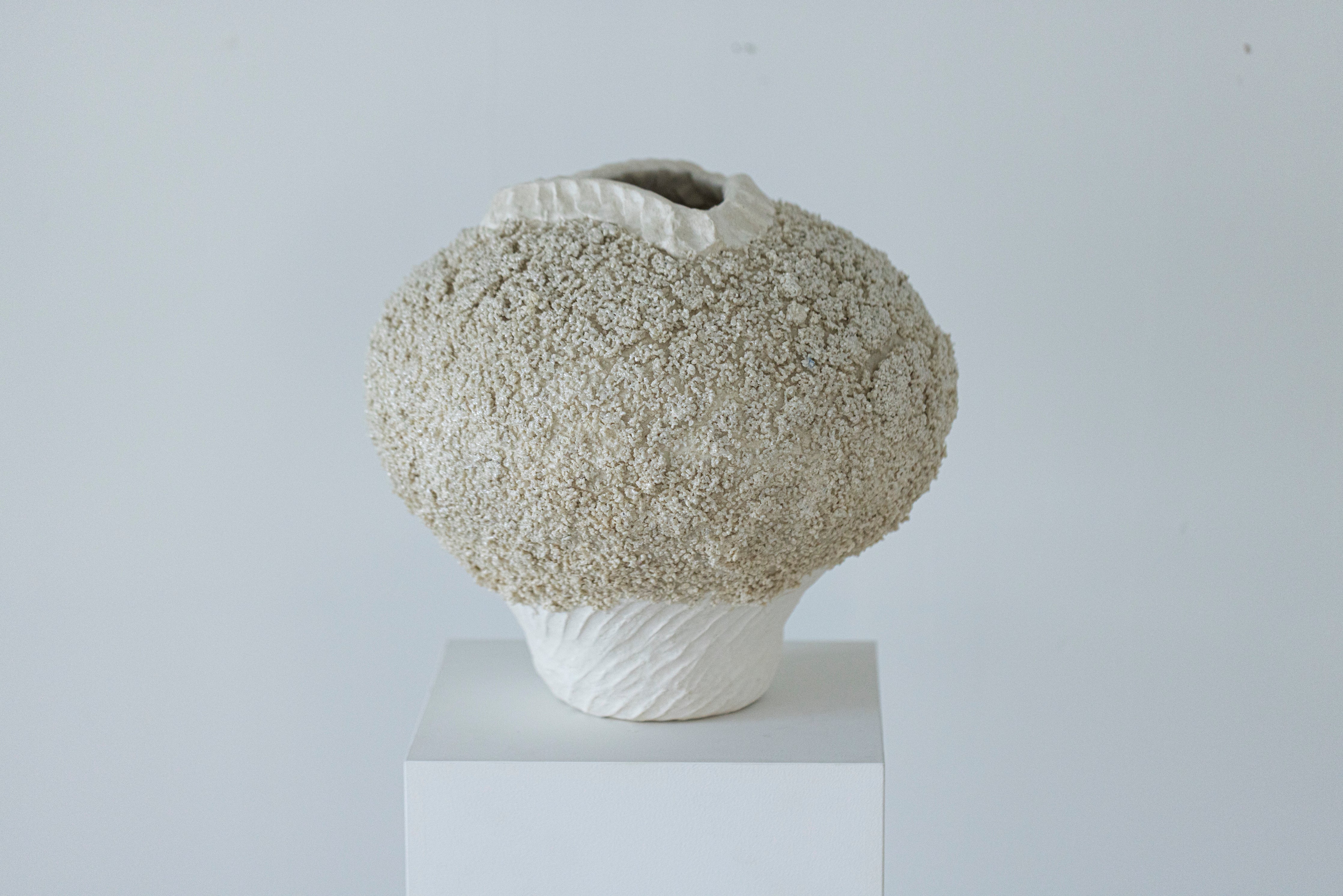 クマノミの立体オブジェ 「クマノミ親子」 作takuma 笑お 現代アート