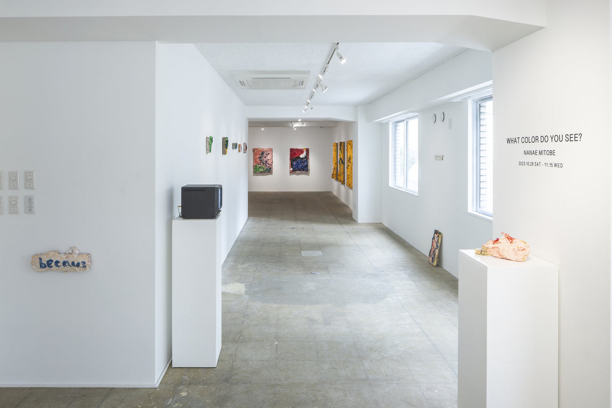 what color do you see – The LOOP Gallery